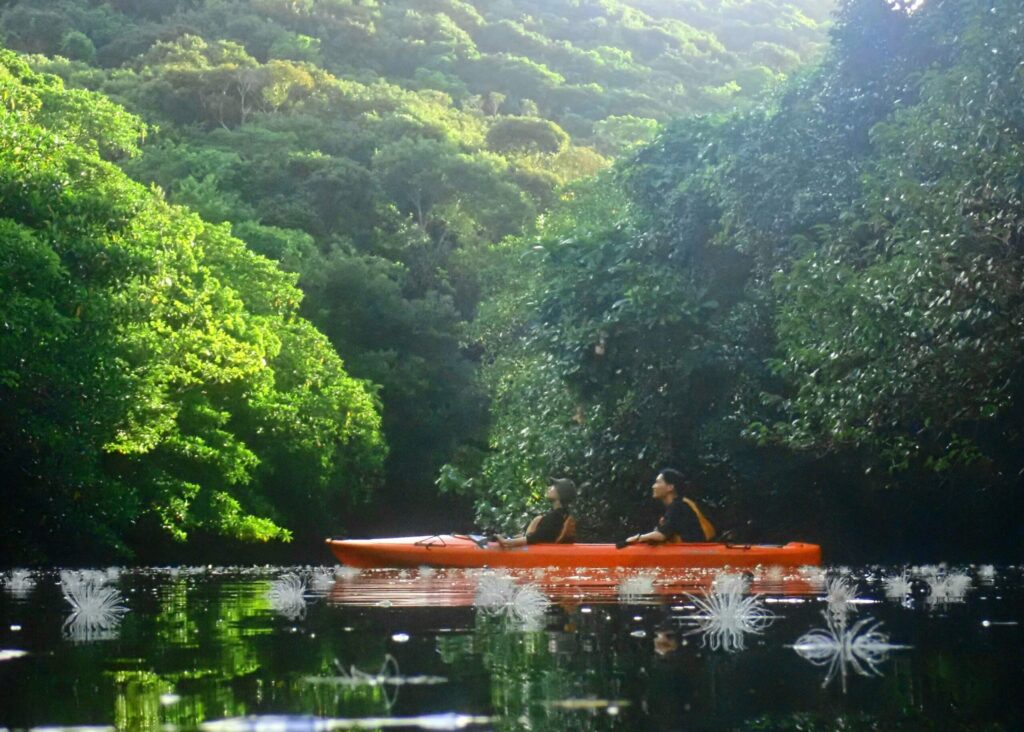 Two people are doing kayaking in the river.