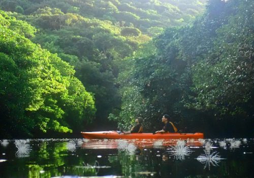 Two people are doing kayaking in the river.