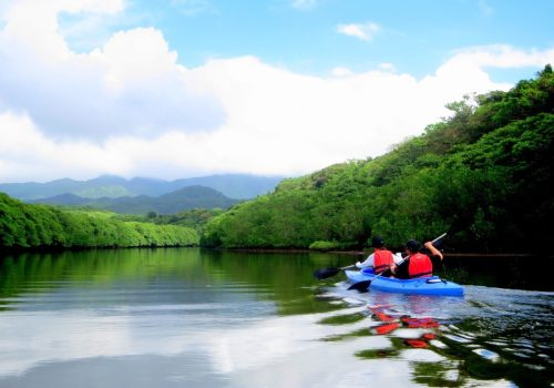 kayaking in a river