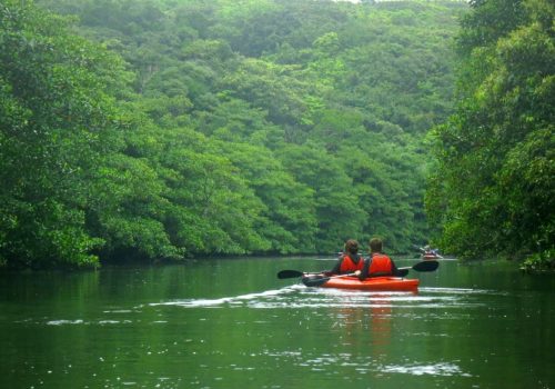 kayaking in Iriomote 3